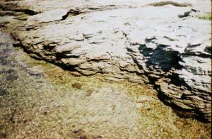 Alouane SAID - Alouane Said Ruspoli