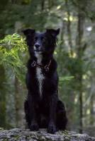 Sébastien MAUPAS - SEBASTIEN MAUPAS PHOTOGRAPHY